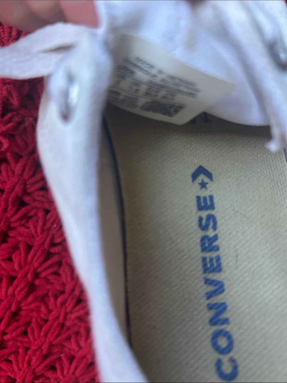 Converse Kids White Canvas Low Top Sneakers with Red Trim